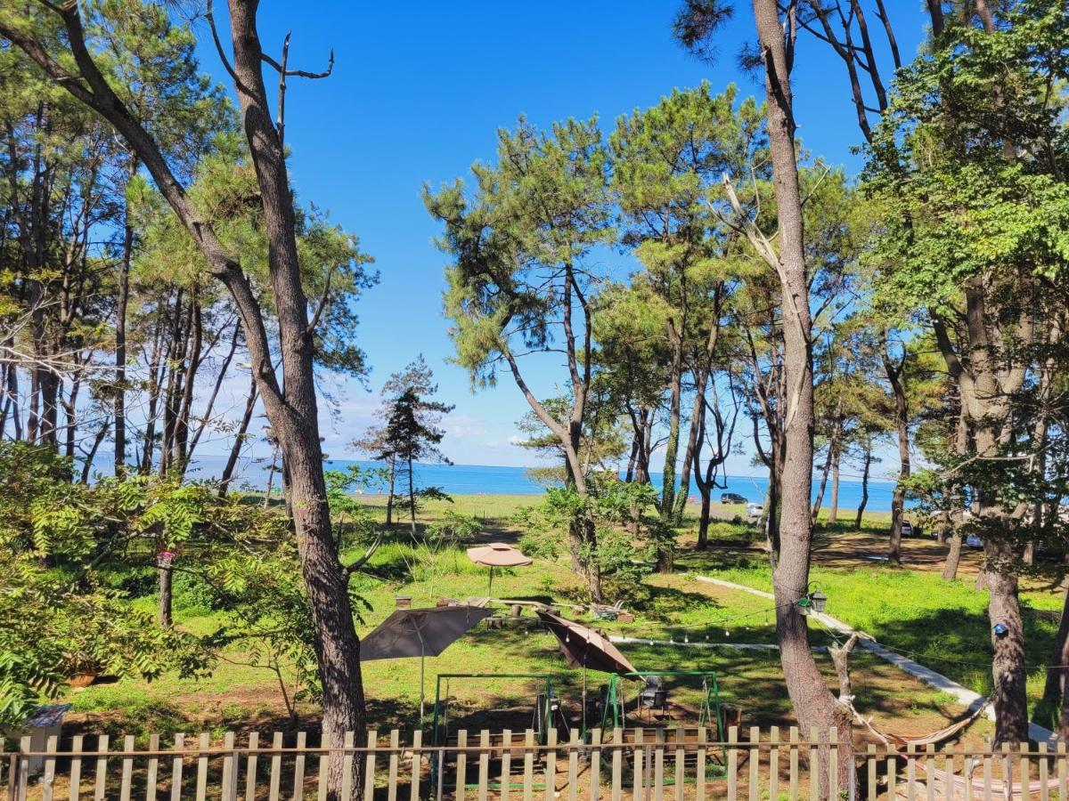 Beachfront Apartments ,,Kapro-One,, Ureki Zewnętrze zdjęcie